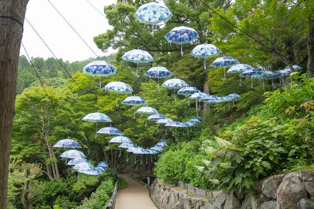 アンブレラスカイ