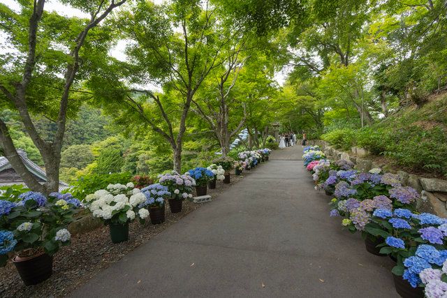 四季のみち付近