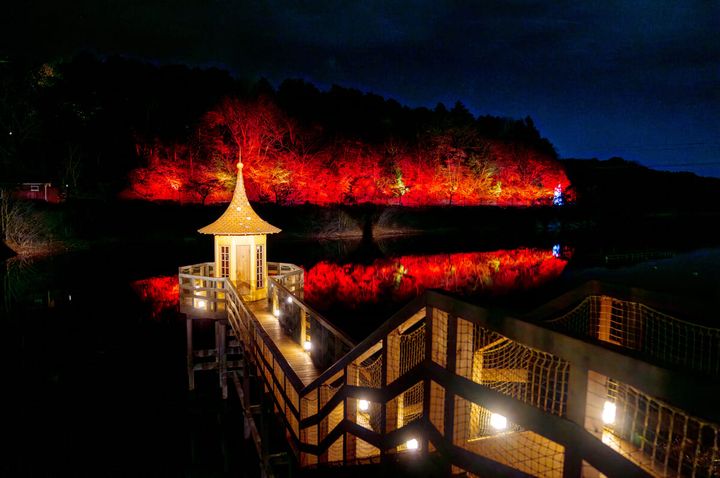 ライトアップ02