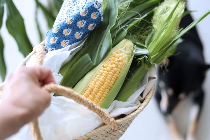トウモロコシ