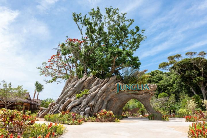 JUNGLIA TREE（ジャングリア ツリー）01