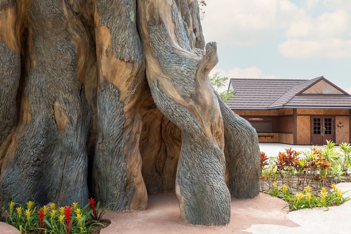 ジャングリア ツリーの体験03