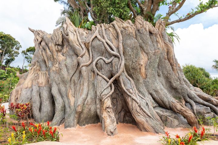 ジャングリア ツリーの体験02