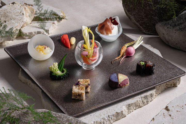 TROPICAL OASIS（トロピカル オアシス）02