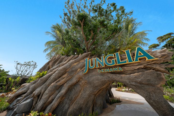 JUNGLIA TREE（ジャングリア ツリー）