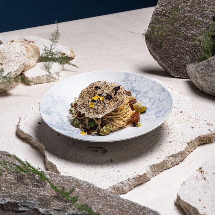 TROPICAL OASIS（トロピカル オアシス）03