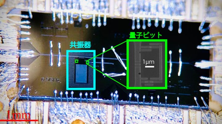 1光子で2原子を同時励起する現象を観測