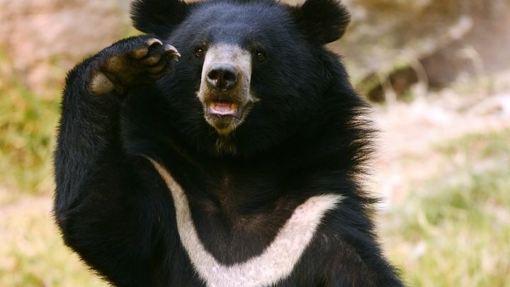 “たまたま助かった”を理論に変える挑戦