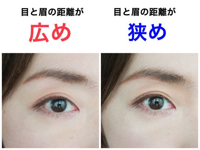 目と眉の距離 広め 狭め