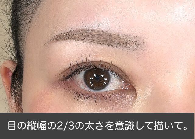 目の縦幅の2／3を目安に描く