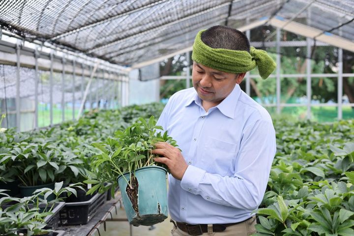 バイオスティミュラント資材