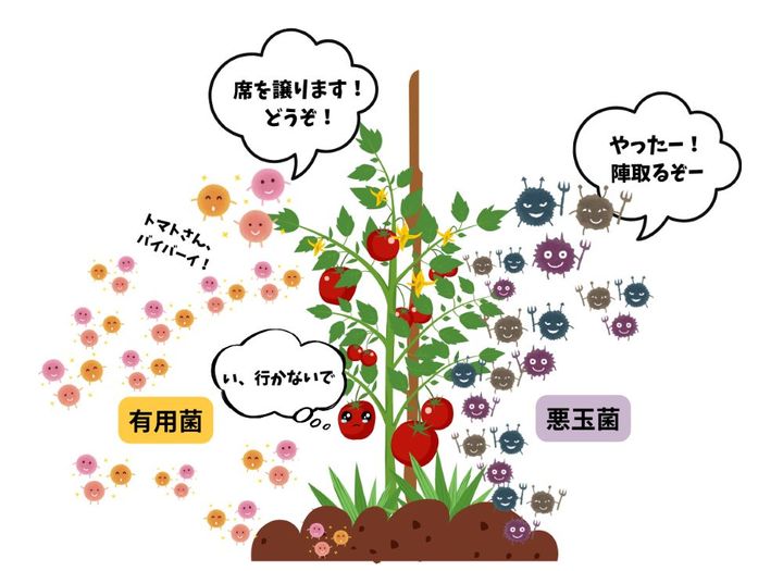 有用菌を利用したガーデニング