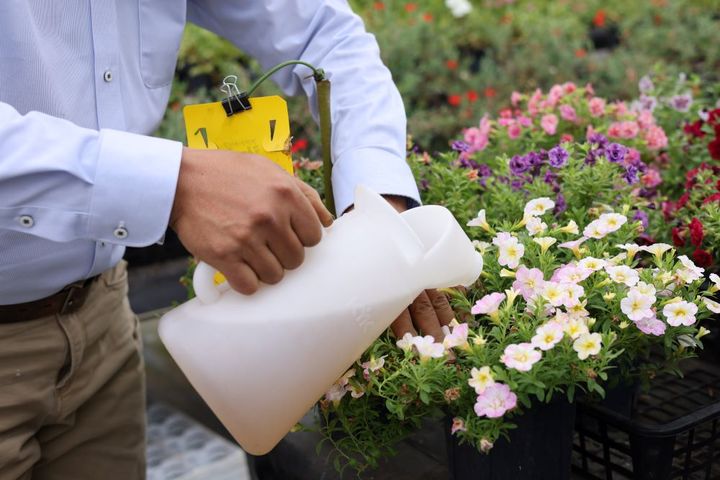 バイオスティミュラント資材