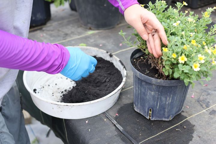 ミラクルバイオ肥料FDS