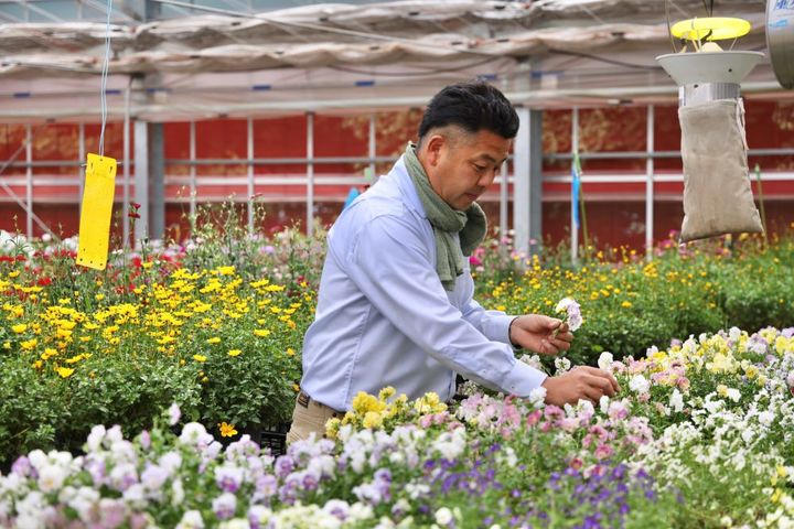 横山園芸のエディブルフラワー