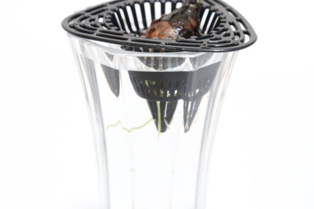 ダイソーの鉢底ネット（7.1cm×7.5cm×4.5cm、6個組）7