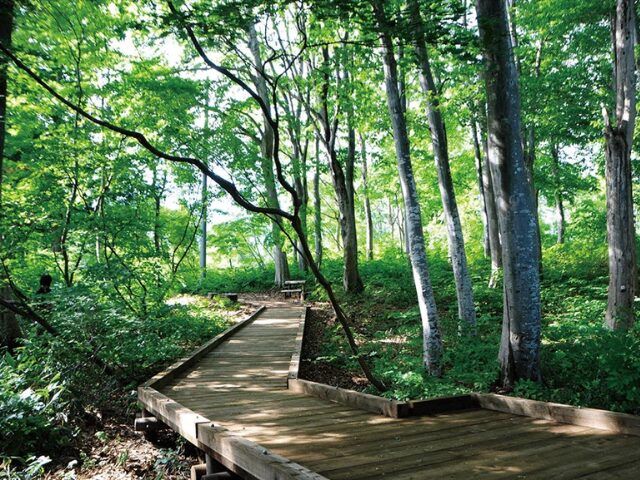 信州ACEプロジェクト