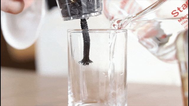 スミノキ 独自の給水構造