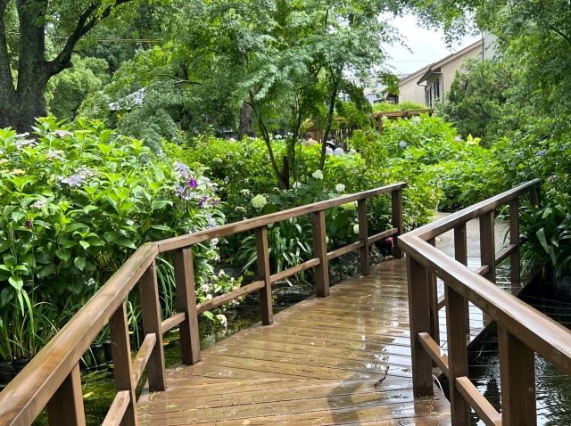 雨上がりのにおい