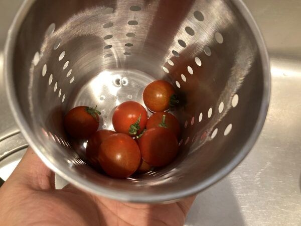 「ポータブル電源難民に朗報！」軽くてコスパ最強の高性能な最強クラスのギアが優秀すぎる！