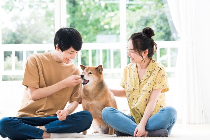 「東京23区で犬と住みたいエリア」ランキング1位は？