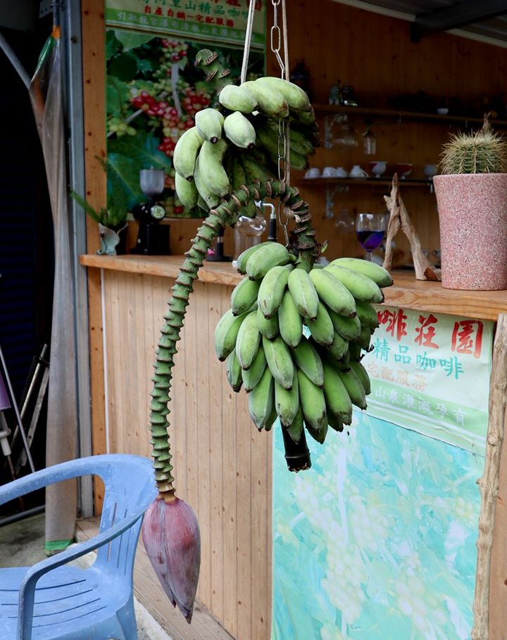 やっと行けた！コロナ後の台湾旅行事情 「台湾行ったらフルーツを食べよう！③」【週末アジア：台湾編】