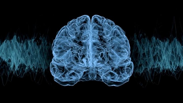 なぜ睡眠不足後は「寝だめ」をするのか？脳内にあった驚きの仕組み