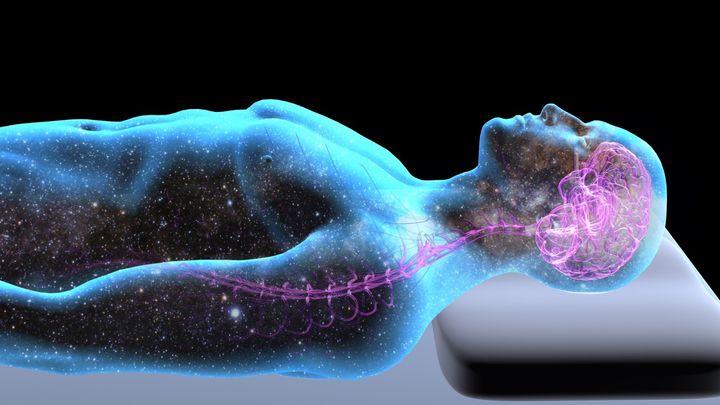 あなたの寝不足を脳は覚えている――睡眠負債の謎に迫る