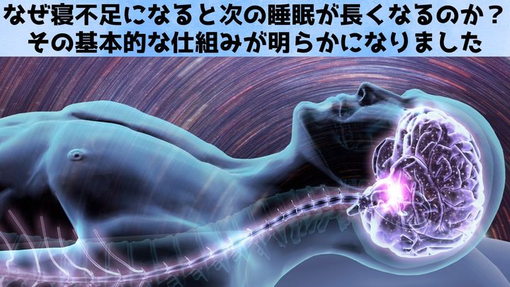 なぜ寝不足後に「より深く長く眠るのか」がついに科学的に解明！