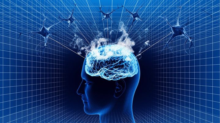 「睡眠不足のツケ」を脳が自動で記録していた――人間への応用可能性は？