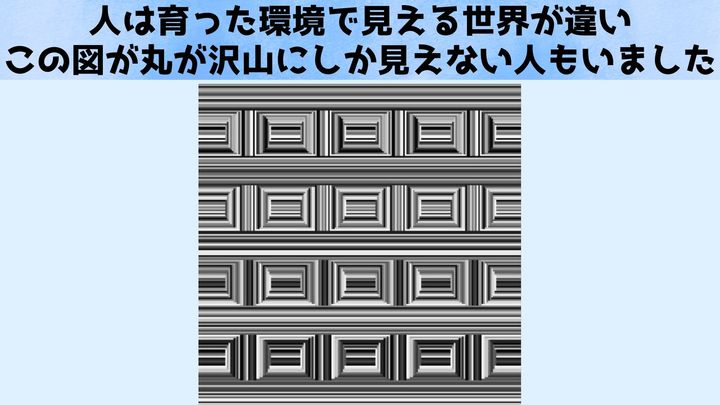 育った環境で「見える世界」が違う：この図が丸にしか見えない人もいる