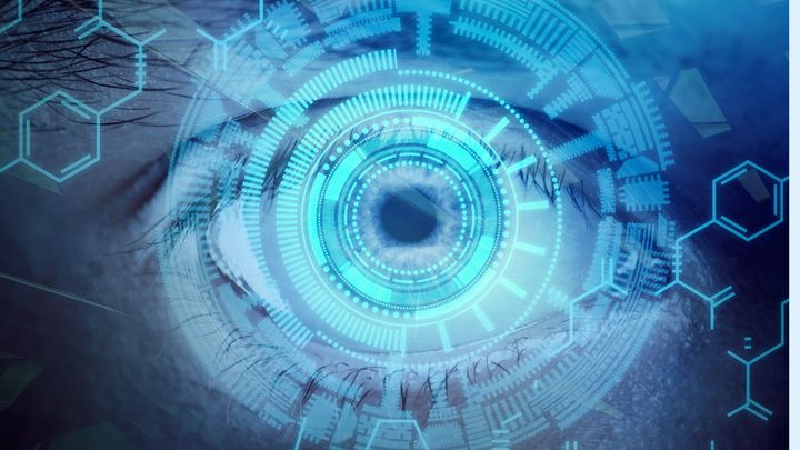 脳は「見たいもの」しか見ないのか？