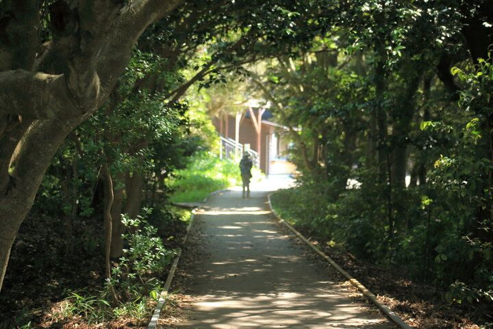 空と海と島々が織り成す英虞湾の絶景が目の前に。横山展望台＆天空カフェテラス