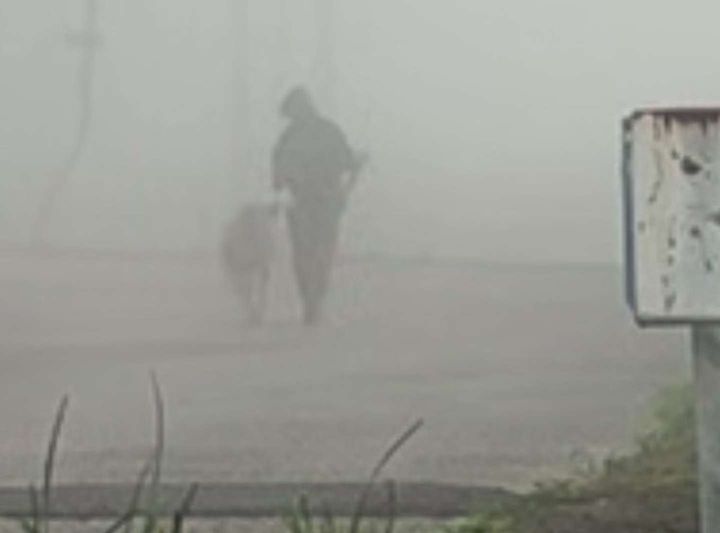 こっちに来る...！（画像は＠6464prprさんの投稿より）