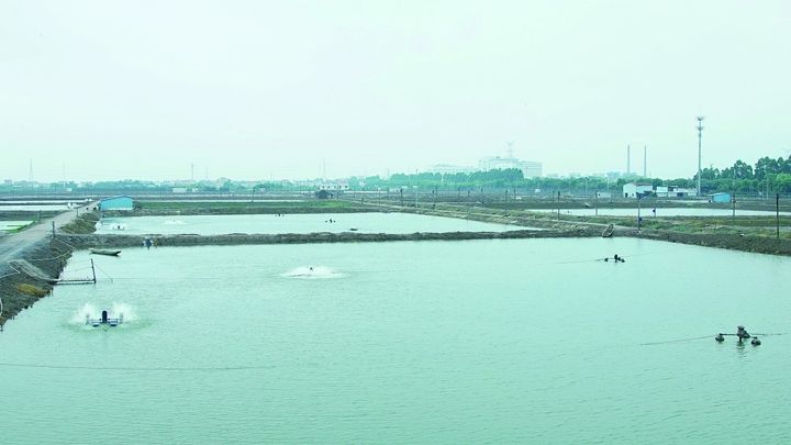 養殖場＜一例＞