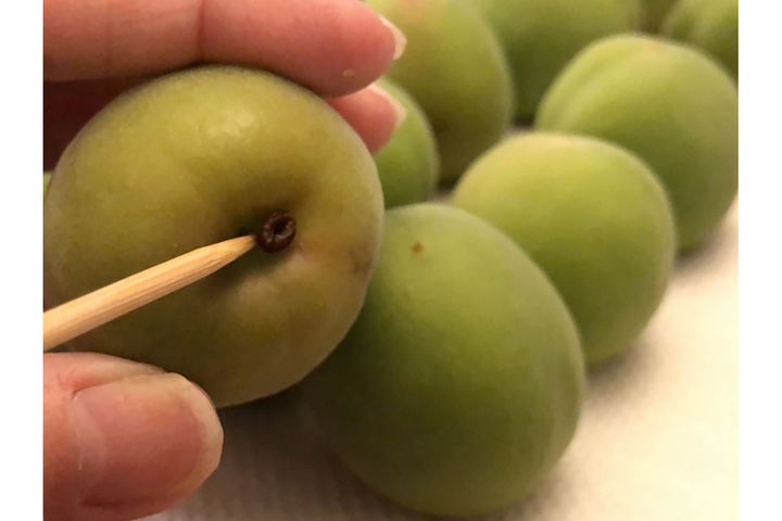 ▲青梅のヘタ取り。竹串を使うとスポッと抜けやすいです。