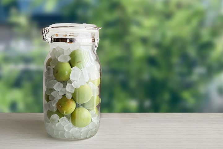 梅シロップは「梅仕事」初心者にピッタリ！