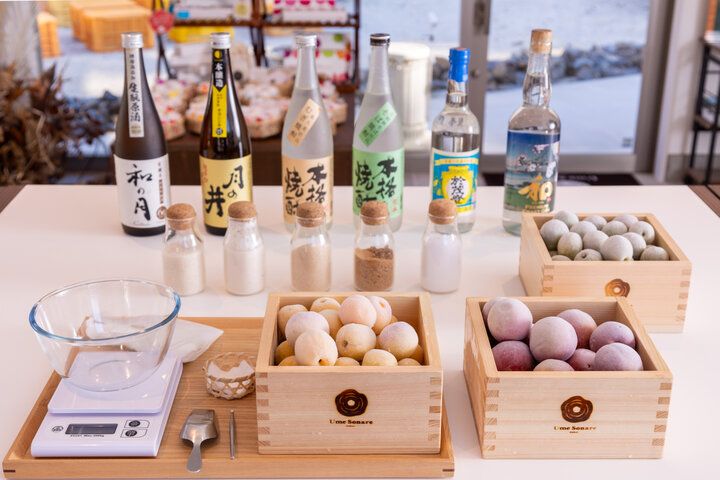 老舗の梅干し専門店が手がける「Ume Sonare oarai」で梅シロップ＆梅酒づくり♪ 