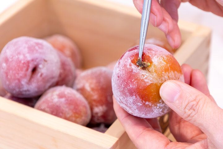 老舗の梅干し専門店が手がける「Ume Sonare oarai」で梅シロップ＆梅酒づくり♪ 