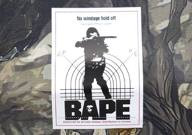 ア ベイシング エイプ付録バッグデザイン