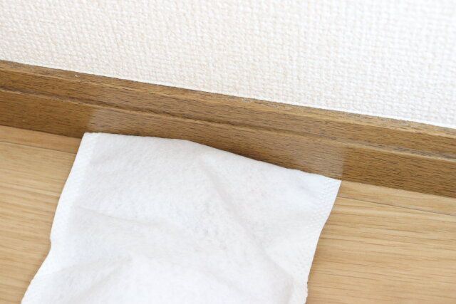 セリア そうじ用手袋 8枚入 使用例 床 端