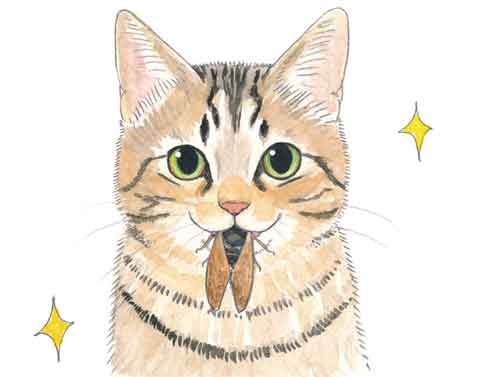 「毛布をずっとふみふみ、もみもみ」「おしりをぐいぐい近づけてくるのはなぜ？」ねこの気持ちが知りたい！【最新号からちょっと見せ】の画像3