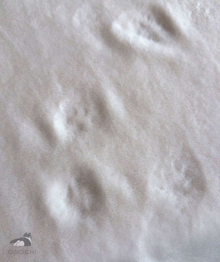 一瞬の芸術？（画像はおもち（@omochiomoching）さん提供）