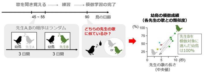 鳥の先生にも明らかな人気のあるなしがあります