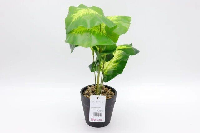 ダイソー グリーンポットアソート 商品タグ