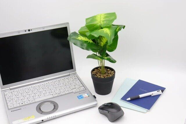 ダイソー グリーンポットアソート