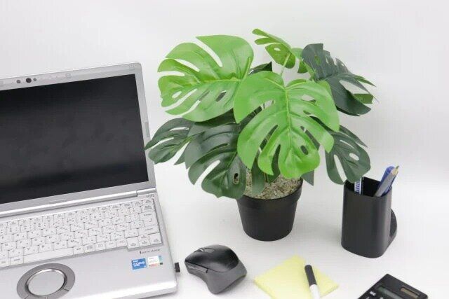 ダイソー グリーンポット