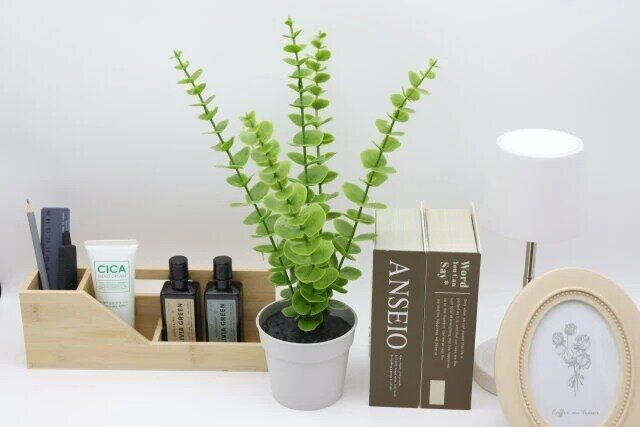 ダイソー グリーンポット（ユーカリ）