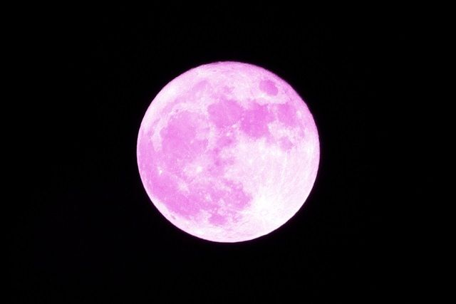 4月の満月「ピンクムーン」とは？2026年の観測時期 | TRILL
