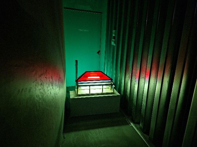 中崎さんのライトボックス作品